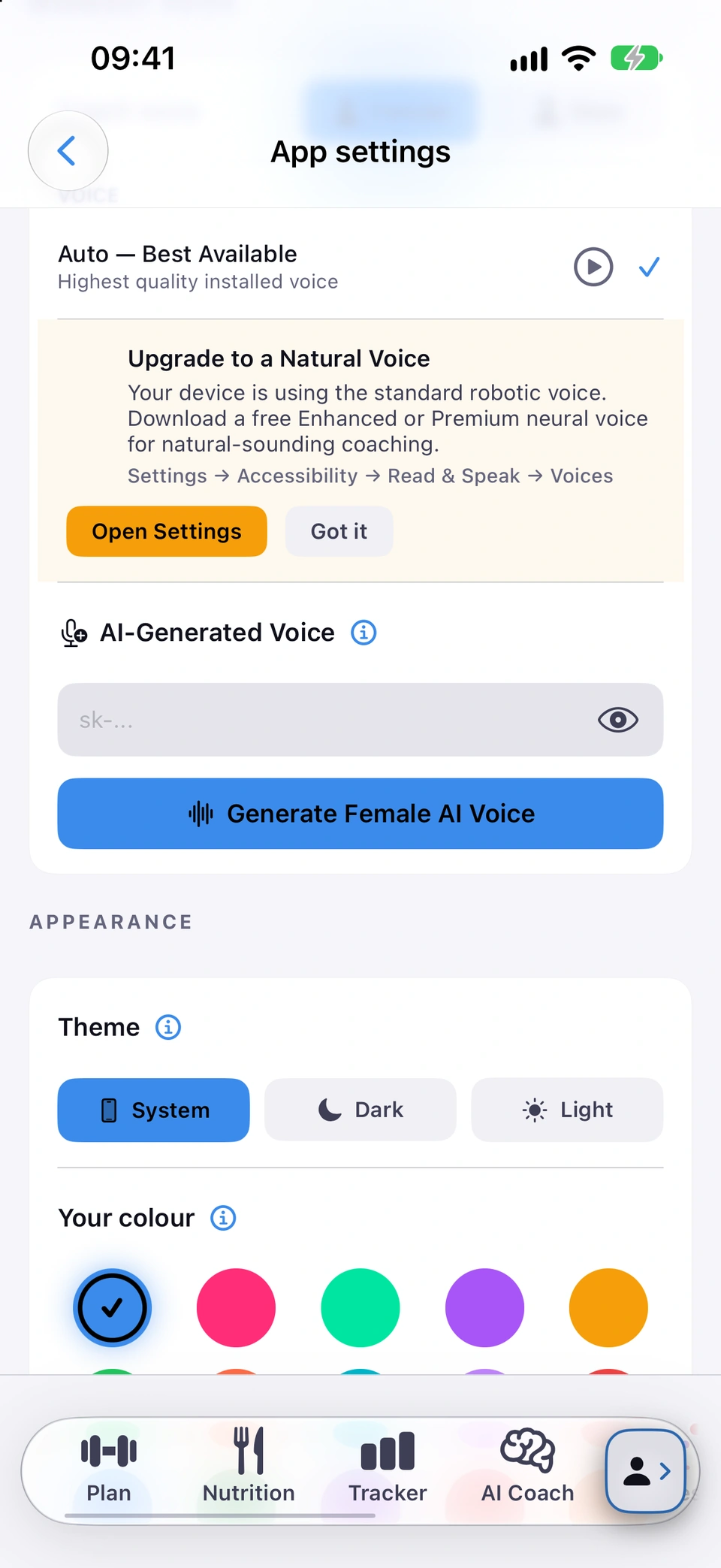 The App settings screen's APPEARANCE section: the Theme row with System/Dark/Light options, and the Your colour swatch grid below.